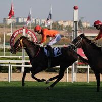 Ankara'da zafer Taylolo'nun