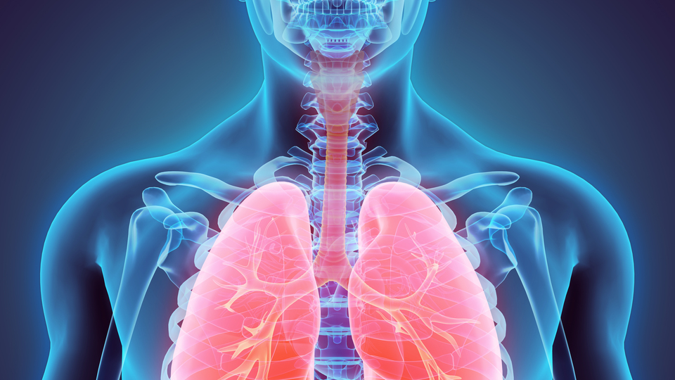 Solunum yolu hastalıklarında 'küresel ısınma' tehdidi