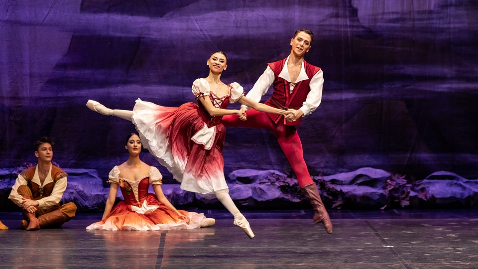 'Giselle Balesi'ne yoğun ilgi