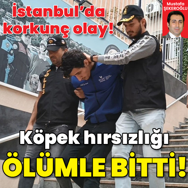 Köpek hırsızlığı cinayetle bitti!