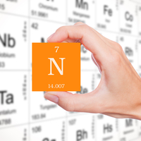 Azot metal mi ametal mi?