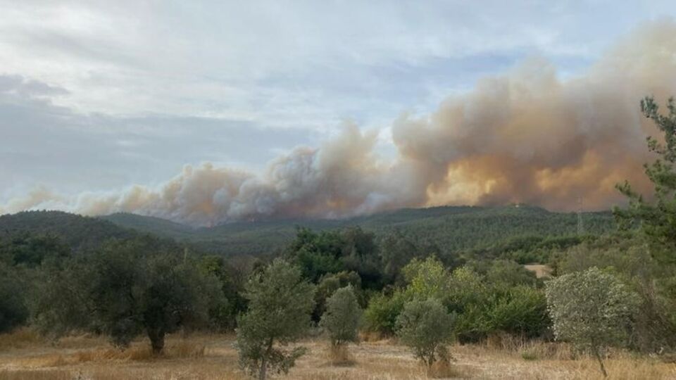 Gelibolu'daki yangın lodosla büyüdü!