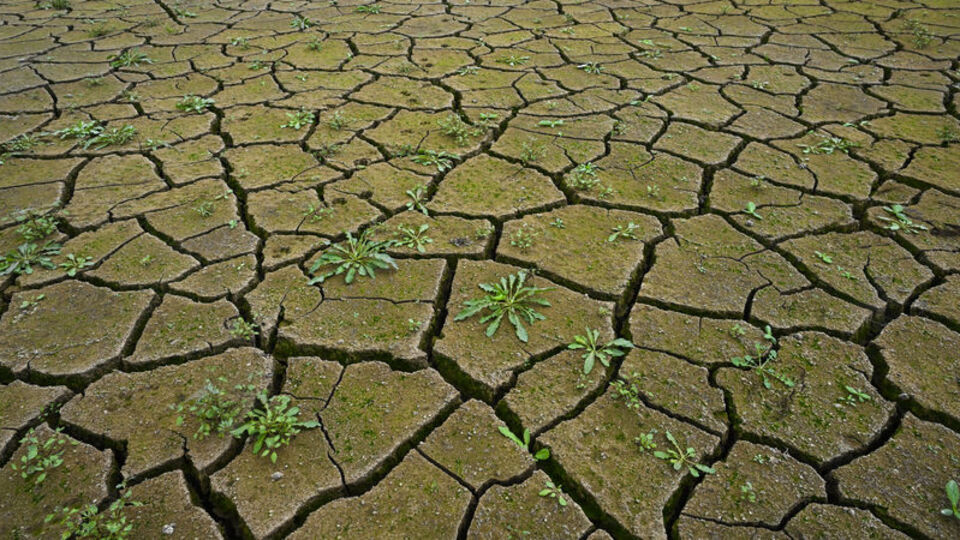 İstanbul'daki 10 barajdan 3'ü "alarm" veriyor
