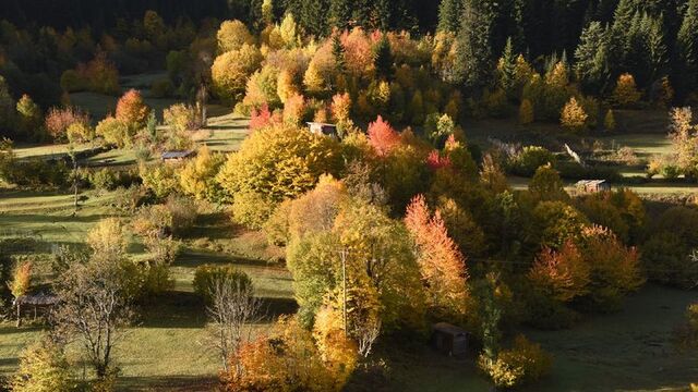 Artvin Şavşat'ta sonbahar renkleri büyüledi