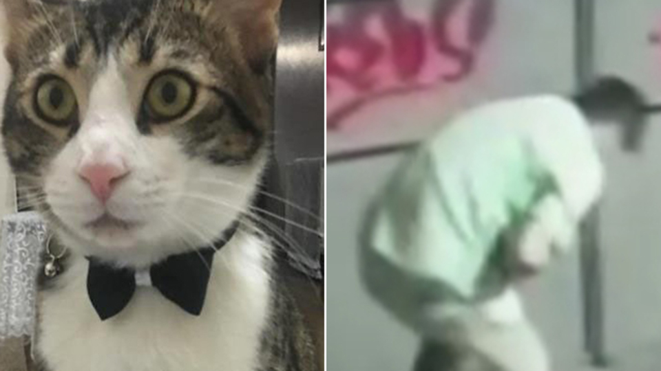 Sosyal medyada tepki çekmişti! Cani tutuklandı!