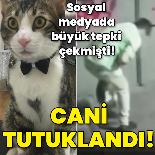 Sosyal medyada tepki çekmişti! Cani tutuklandı!