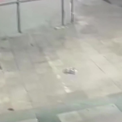 Bayrampaşa’da sahipli kedinin kaçırıldığı anlar kamerada