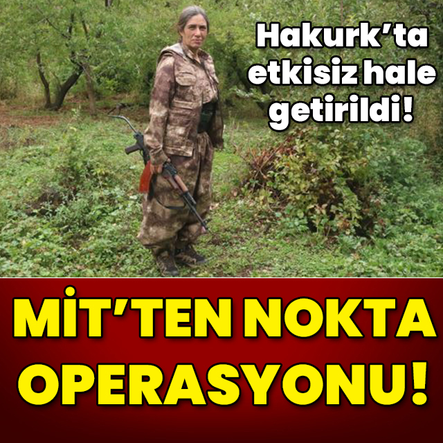 MİT'ten Irak'ın kuzeyinde çok önemli operasyon!
