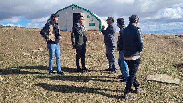 Bayburt'ta kurtlar 200 koyunu öldürdü