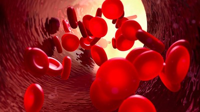 Riskini bil cevabını bil! 8 soruda diyabet riskini belirle