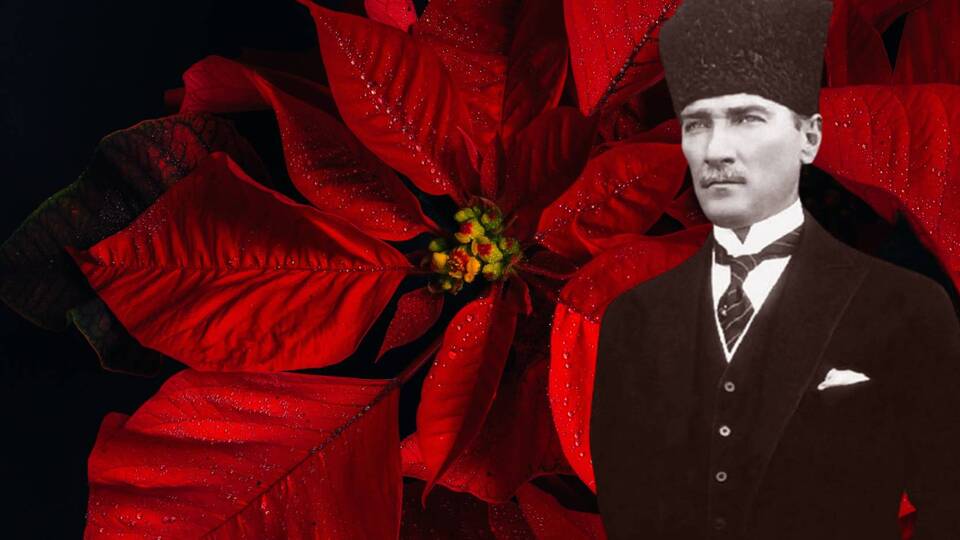 Yaprakları kırmızı, çiçeği sarı... Atatürk'le anılan çiçek
