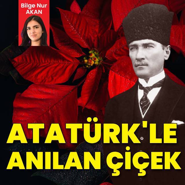 Yaprakları kırmızı, çiçeği sarı... Atatürk'le anılan çiçek