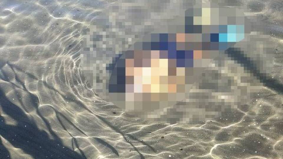 Denizde cansız beden bulundu