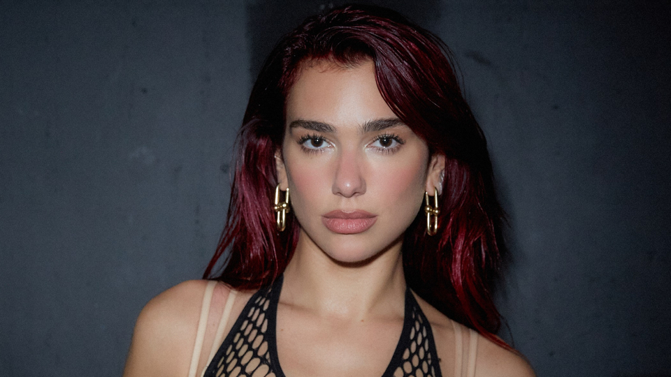 "Oldukça alaycı bir çalışma"