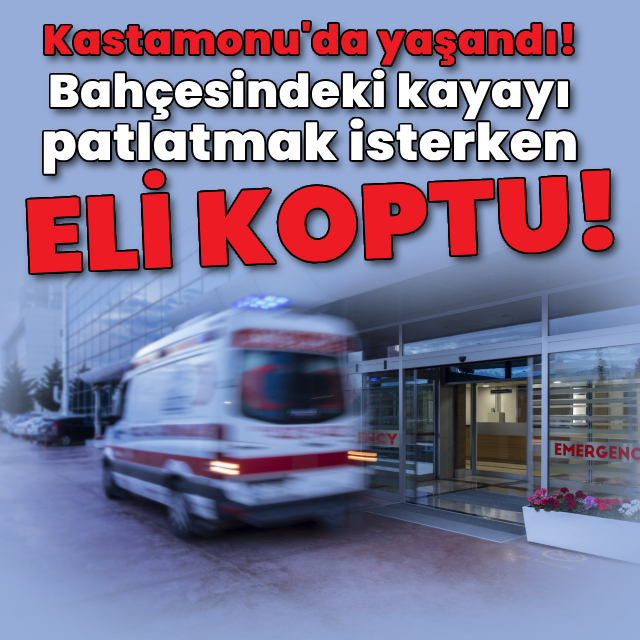 Bahçesindeki kayayı patlatmak isterken eli koptu!