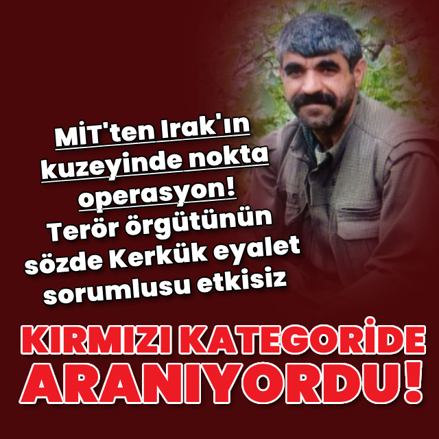 Terör örgütünün sözde Kerkük eyalet sorumlusu etkisiz!