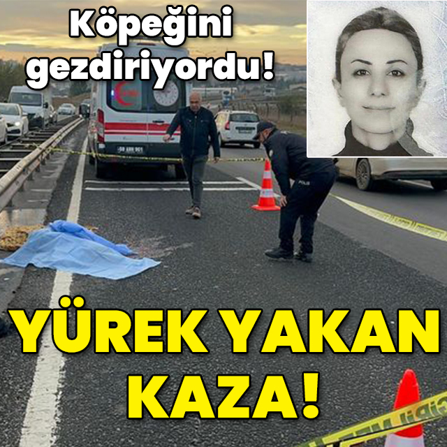 Köpeğini gezdiriyordu! Yürek yakan kaza!