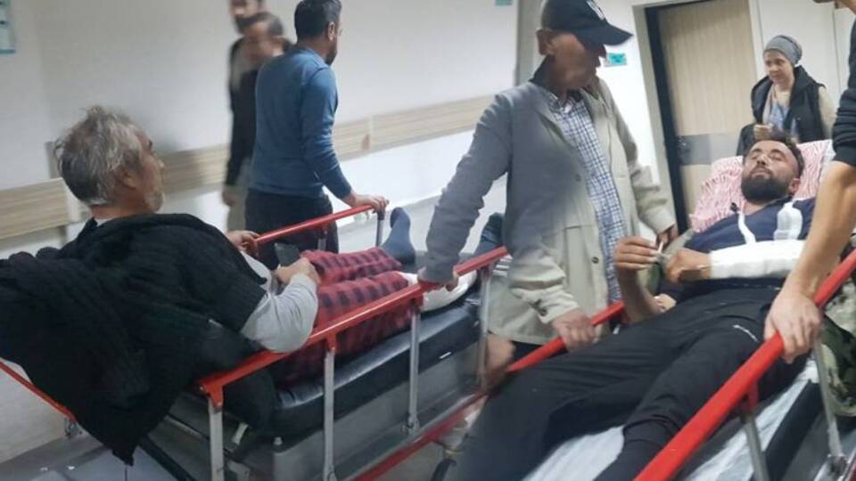 Koyun otlatırken dehşeti yaşadılar!