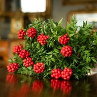 Kokina çiçeği anlamı