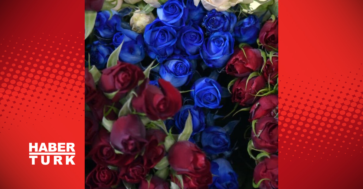 Mavi Gülün Anlamı Nedir? Mavi Gül Ne Anlama Gelir ve Ne Demek?