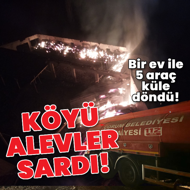 Köyde çıkan yangında bir ev ve 5 araç küle döndü!