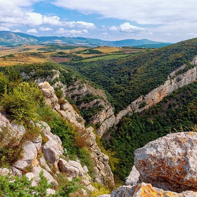 Azerbaycan'ın kültür başkenti