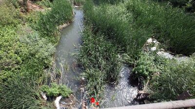 Çevreyi kirletenlere 950 milyon lira ceza