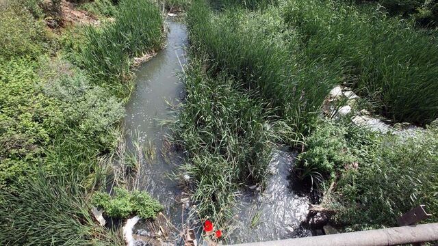 Çevreyi kirletenlere 950 milyon lira ceza