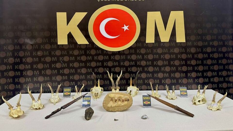 Sivas'ta 11 kafatası ele geçirildi