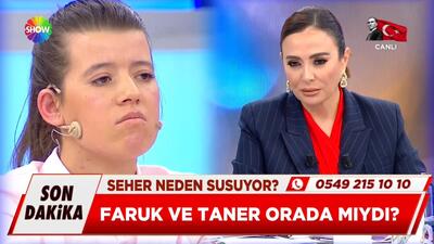 Gizemli sesin sırrı çözüldü