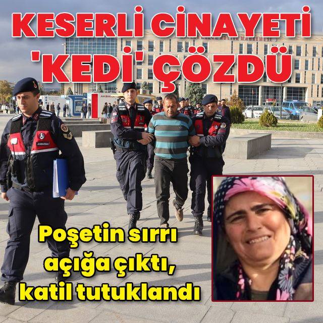 Keserli vahşette katili 'kedi' eleverdi