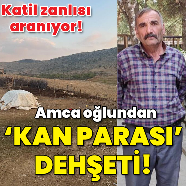Amca oğlundan 'kan parası' dehşeti!