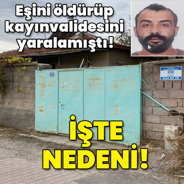 Eşini öldürüp kayınvalidesini yaralamıştı! İşte nedeni!