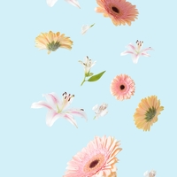 Yaşam çiçeği anlamı