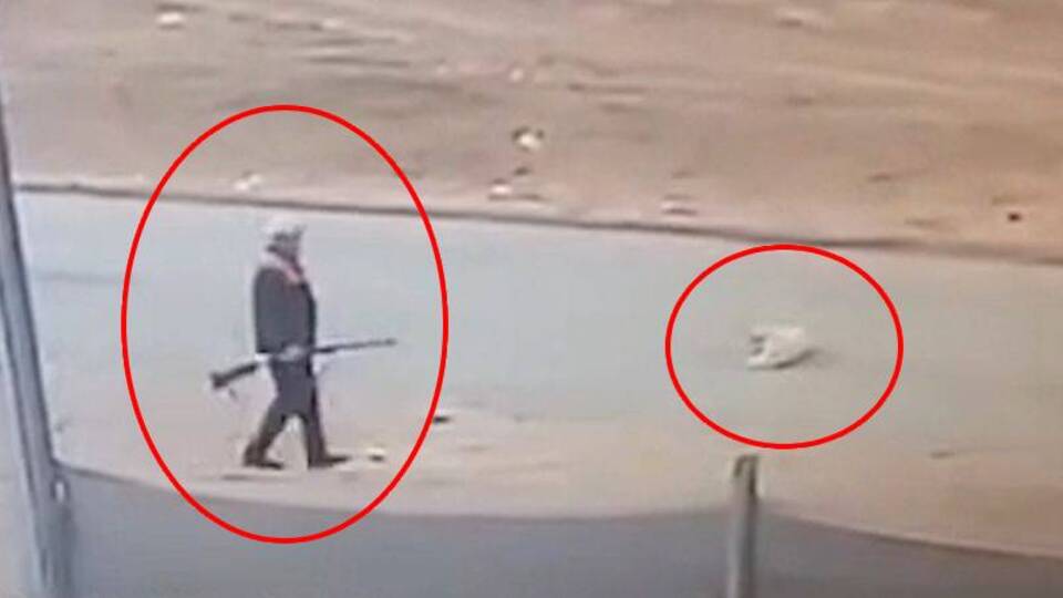 Cani tüfekle öldürdü, serbest kaldı