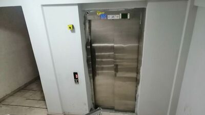 Anne ve kızı asansörde ölü bulundu