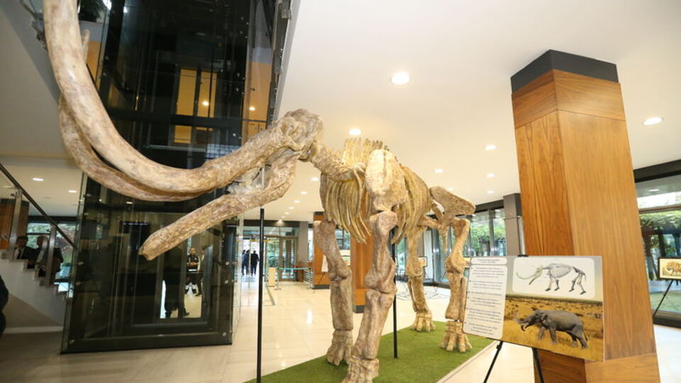 Kayseri'de eşi benzeri bulunmayan keşifler