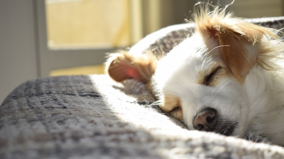 Rüyada Tek Küpe Takmak