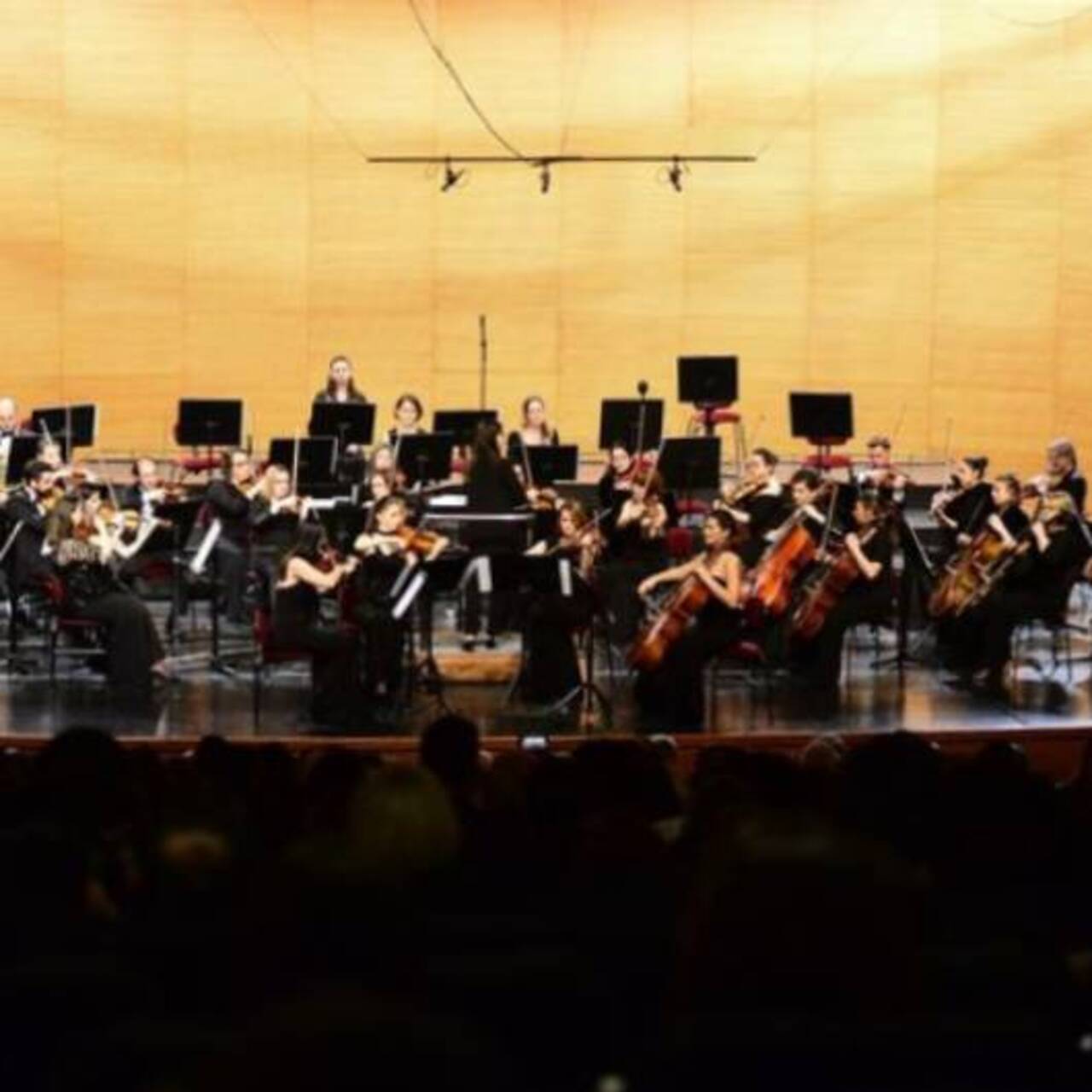 Genç orkestra şefi Öğretmenler Günü konserinde sahnede