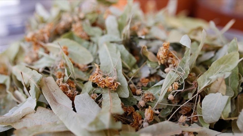 Kış çayı alacaklara uyarı! Sakın bunları almayın