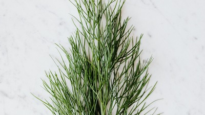 Dereotunun faydaları neler, ne işe yarar?