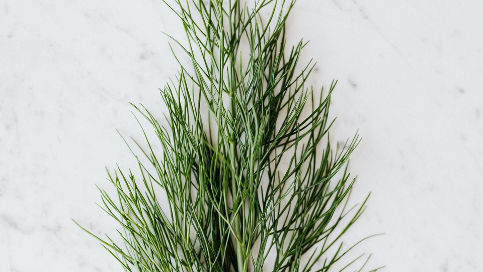 Dereotunun faydaları neler, ne işe yarar?