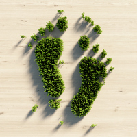 Ekolojik ayak izi nedir?