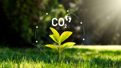 Karbon ayak izi nedir?