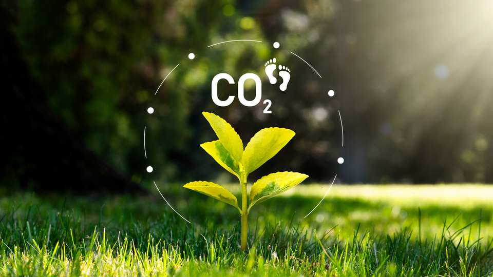 Karbon ayak izi nedir?