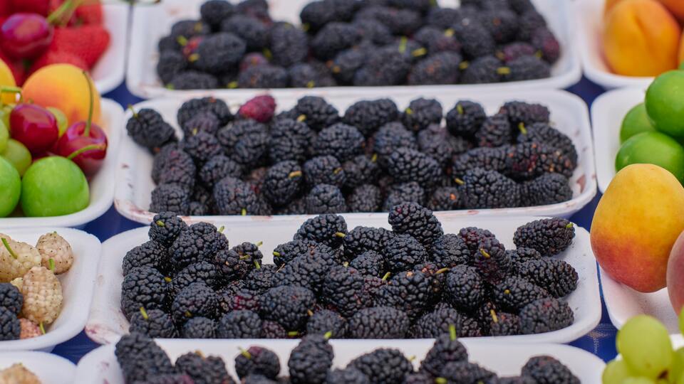 Karadutun faydaları neler ve ne işe yarar?