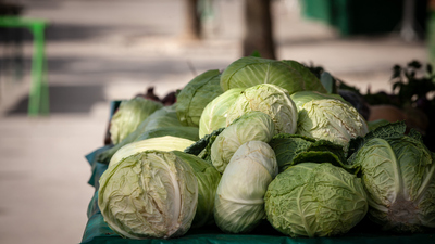Beyaz lahana faydaları neler ve ne işe yarar?