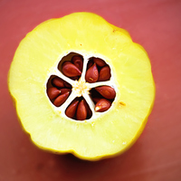 Ayva çekirdeği jeli faydaları neler ve ne işe yarar?