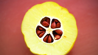 Ayva çekirdeği jeli faydaları neler ve ne işe yarar?