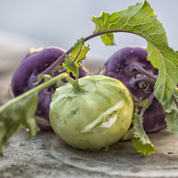Alabaş bitkisinin faydaları neler ve ne işe yarar?
